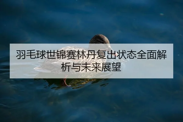 羽毛球世锦赛林丹复出状态全面解析与未来展望